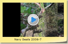 Navy Seals 2006-7