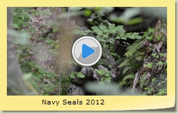Navy Seals 2012